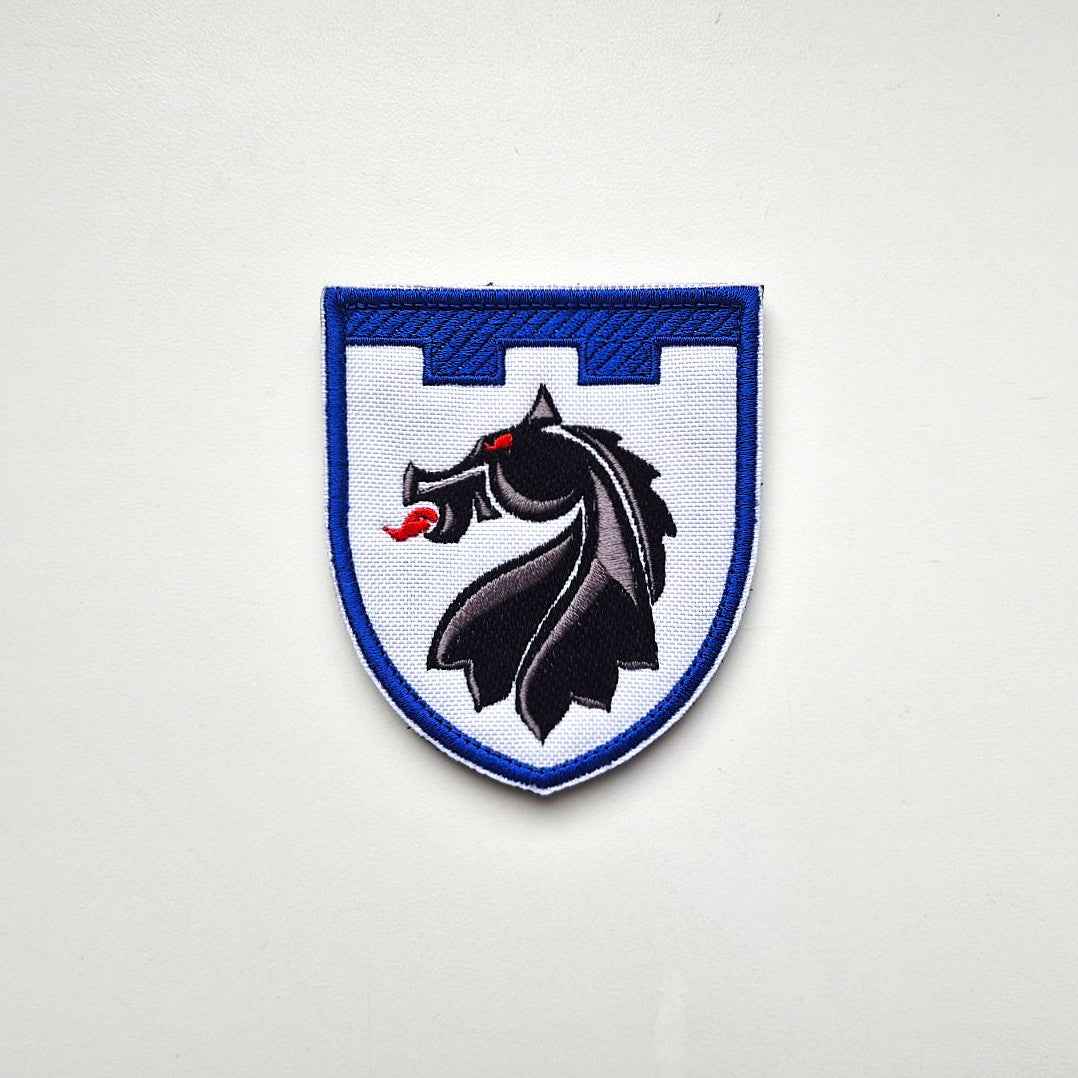 155 OMBr Territorial Defense Original Patch Front-facing photo