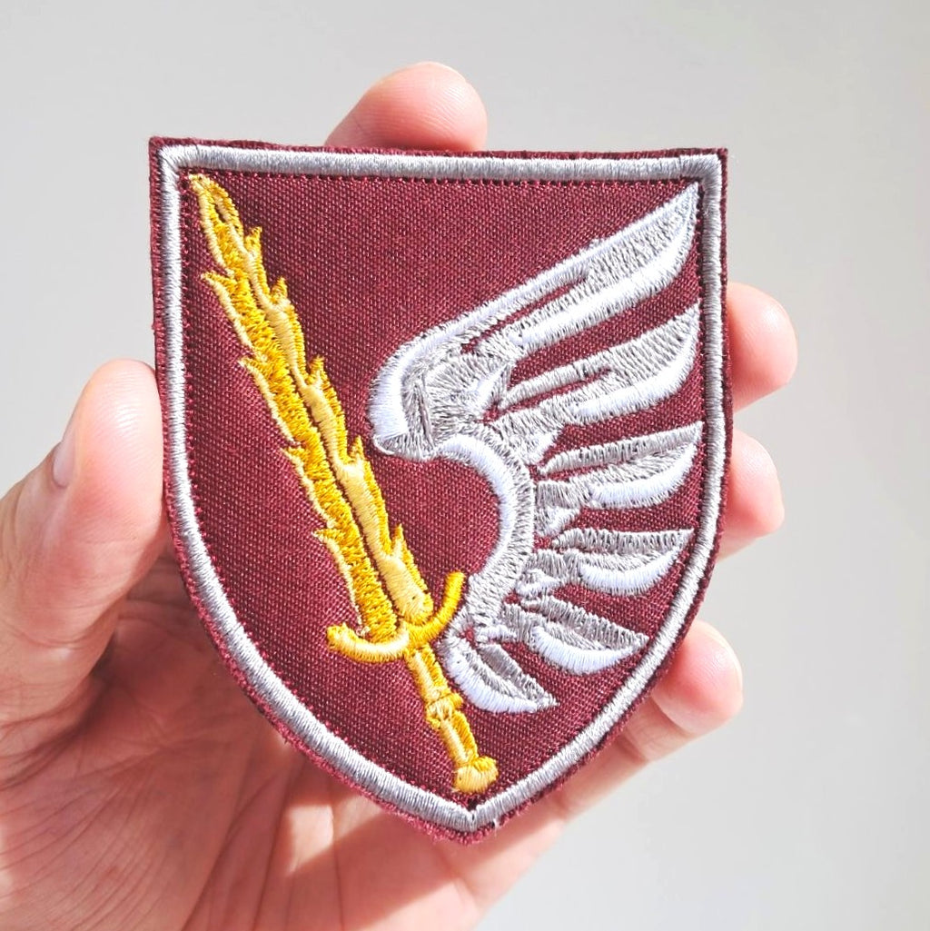 79th Airborne Separate Assault Brigade Patch main photo2