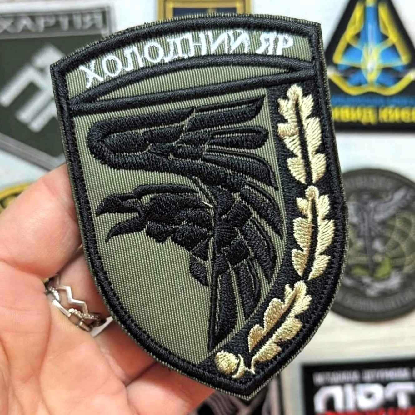 Kholodny Yar 93rd Mechanized Brigade Chevron main photo2