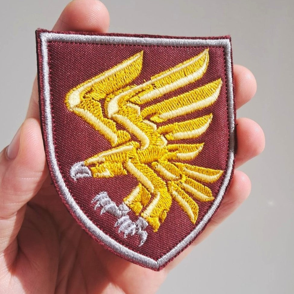 95th Airborne Separate Assault Brigade Patch main photo2