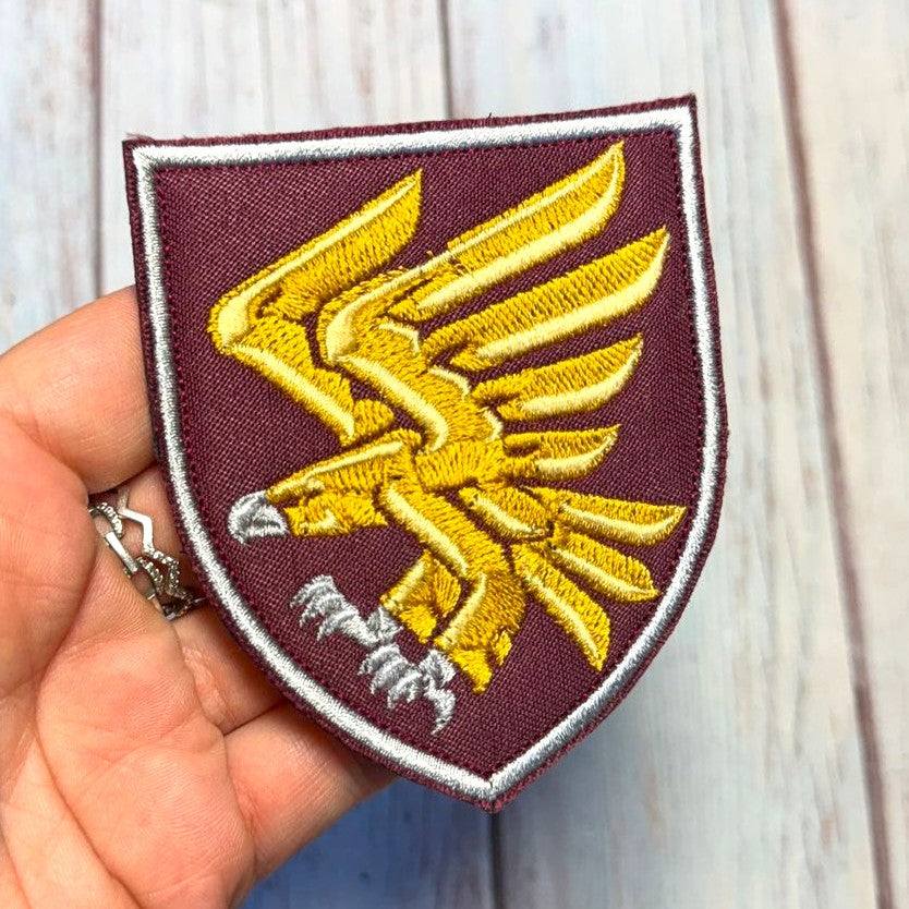95th Airborne Separate Assault Brigade Patch main photo3