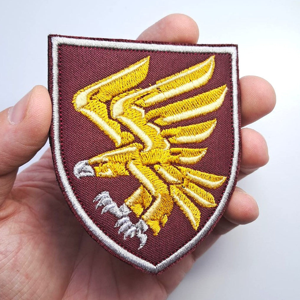 95th Airborne Separate Assault Brigade Patch main photo1