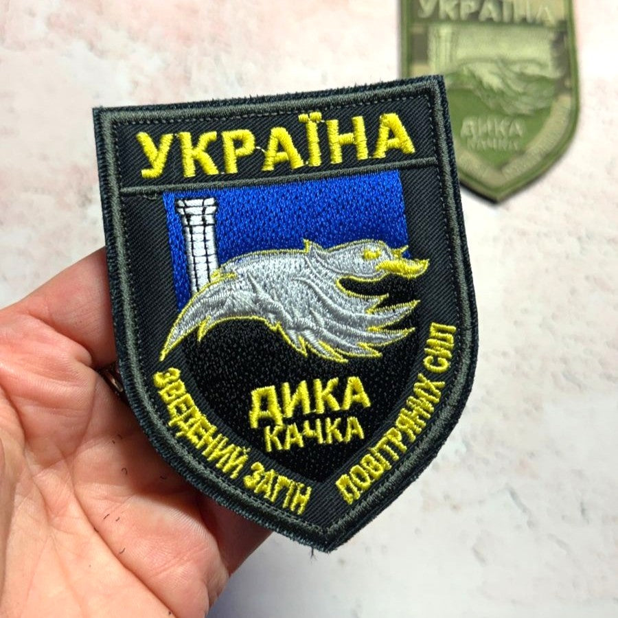 Wild Duck Air Force Detachment Patch main photo2
